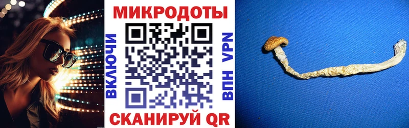 mega онион где найти наркотики Беслан Галлюциногенные грибы Cubensis